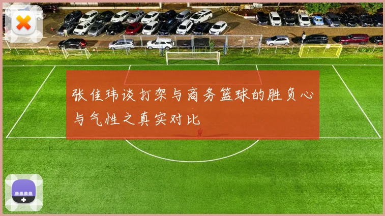 张佳玮谈打架与商务篮球的胜负心与气性之真实对比