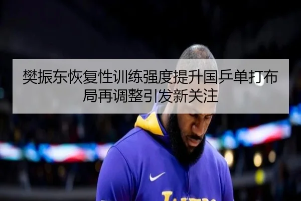樊振东恢复性训练强度提升国乒单打布局再调整引发新关注